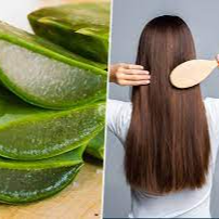 Aloe Vera For Your Hair Care Routine