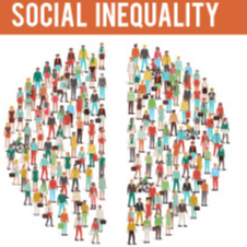 Social Inequality Effects
