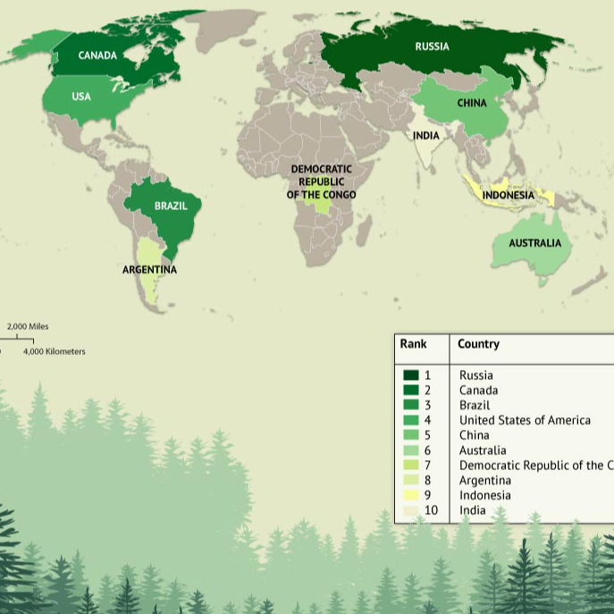 Top Countries By Total Forest Area