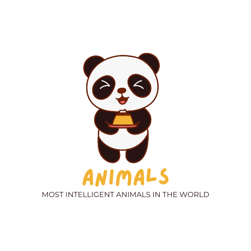 Most Intelligent animals