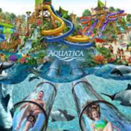 Amazing waterslides around the world