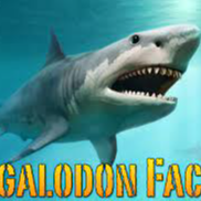 10 facts about biggest shark ever existed